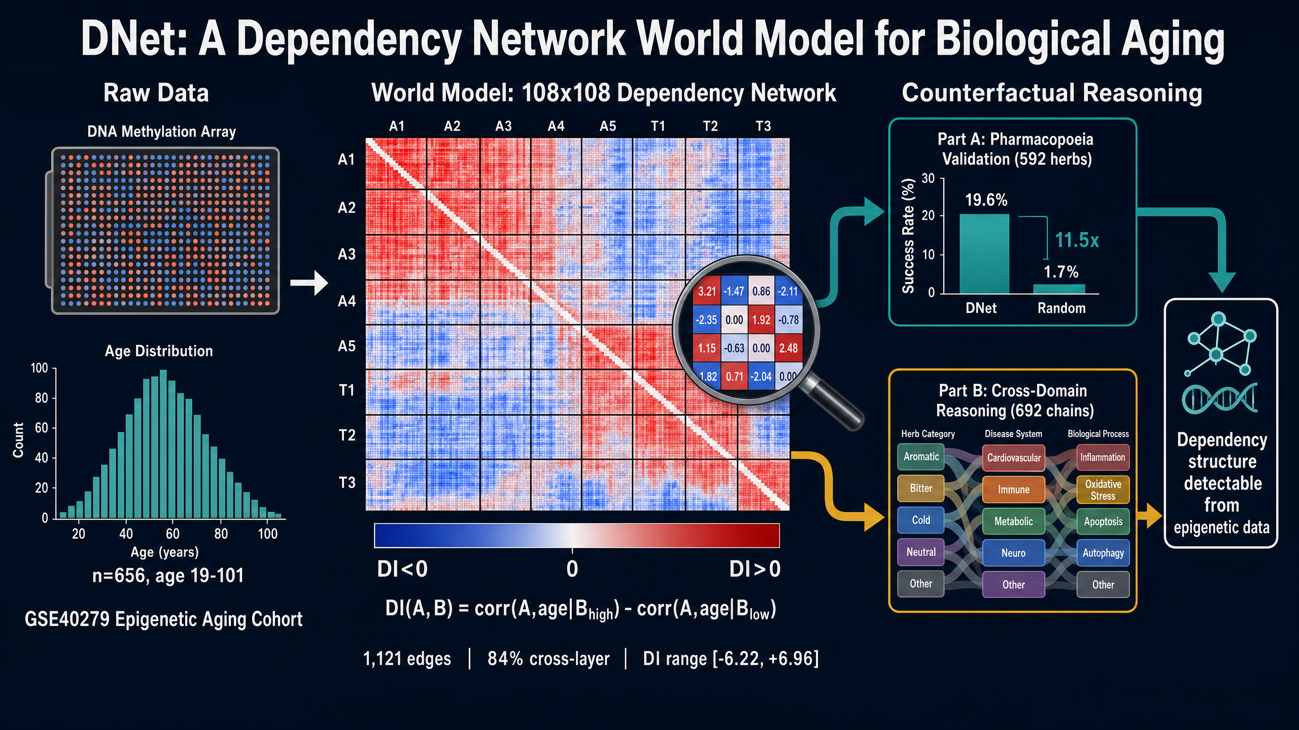 DNet dependency network graphical abstract