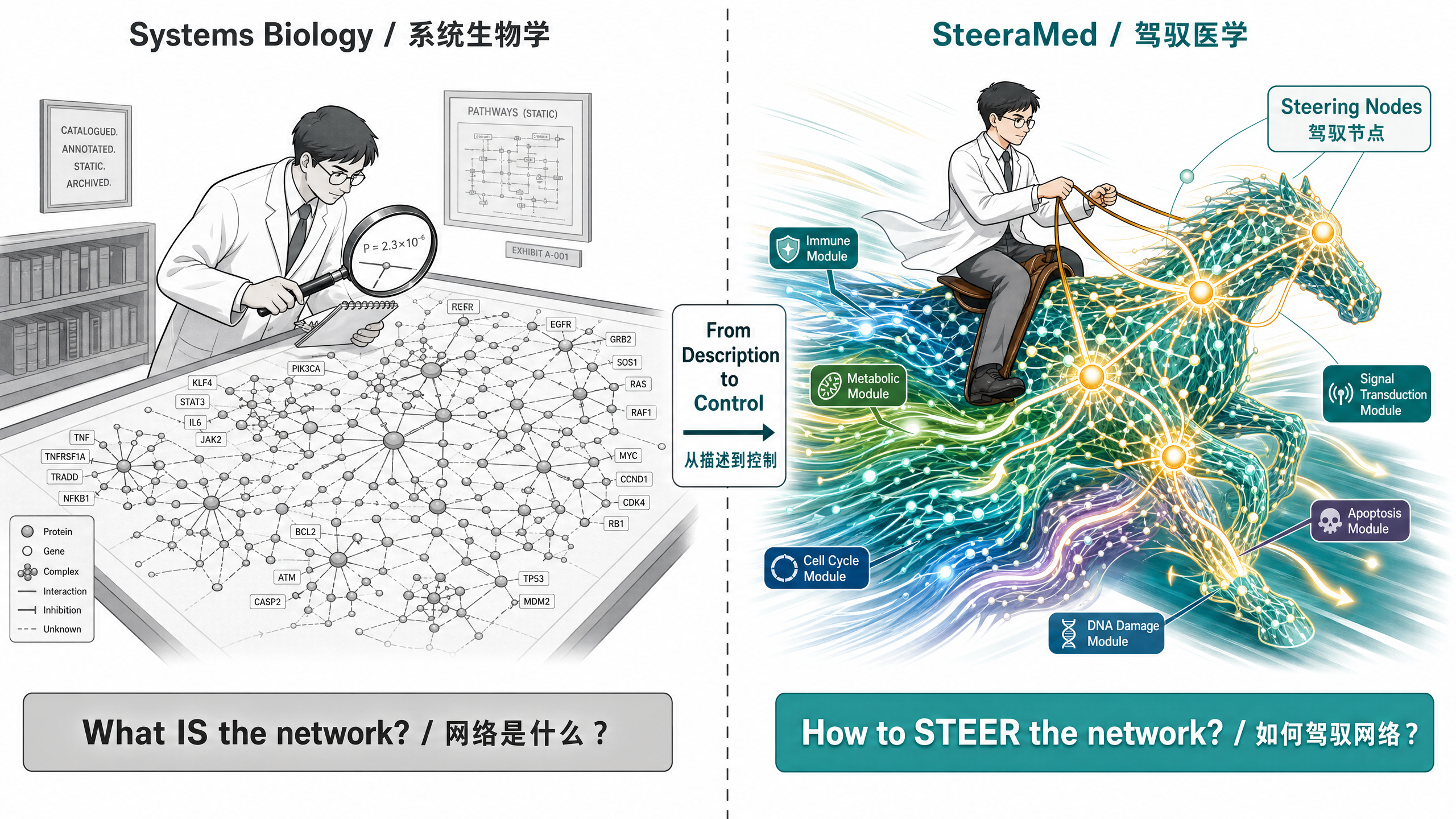 Systems biology versus steerable medicine